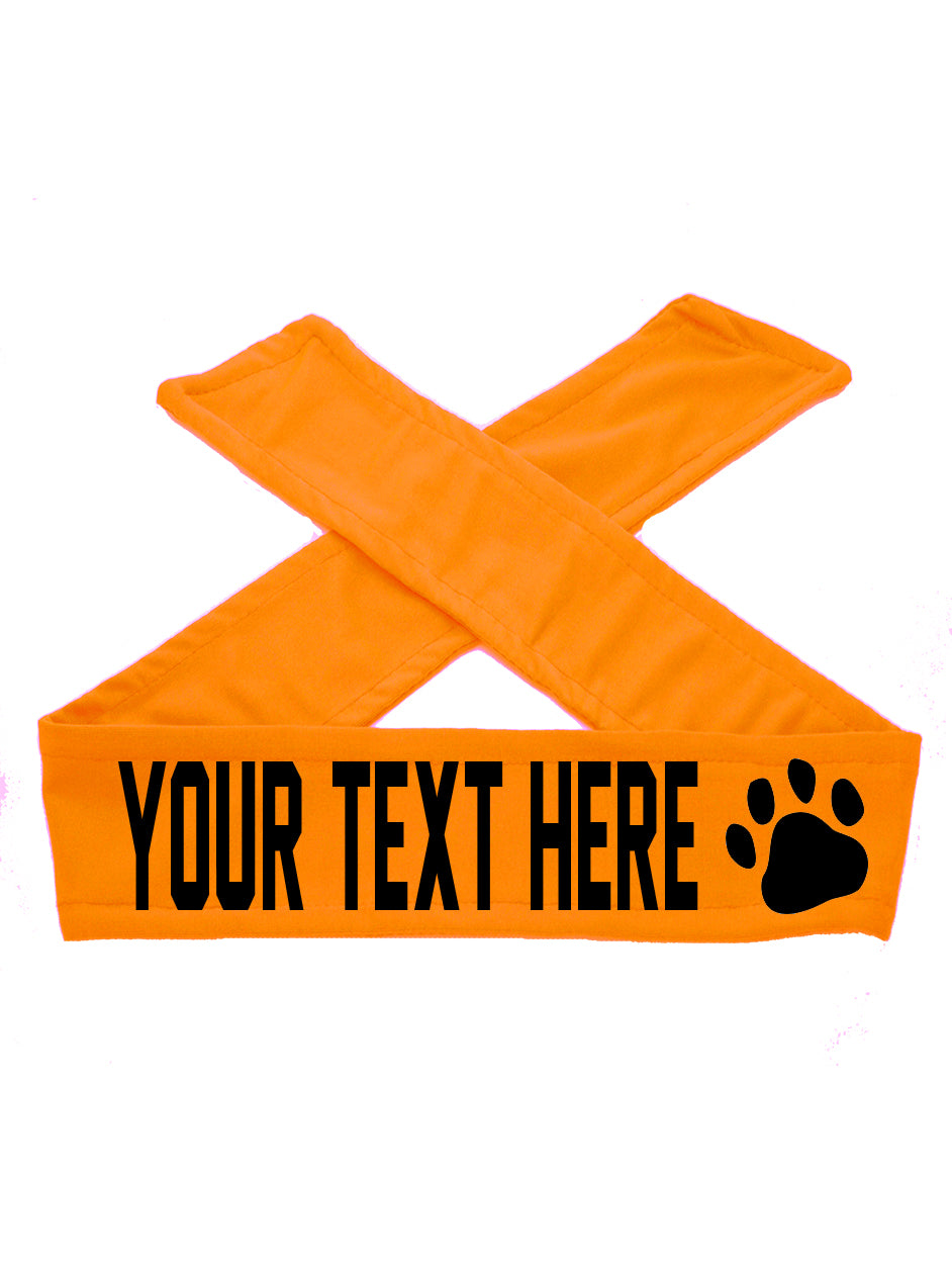 Custom Personalized PAW PRINT TIE Headband - Flat (Non Sparkle) Letters!