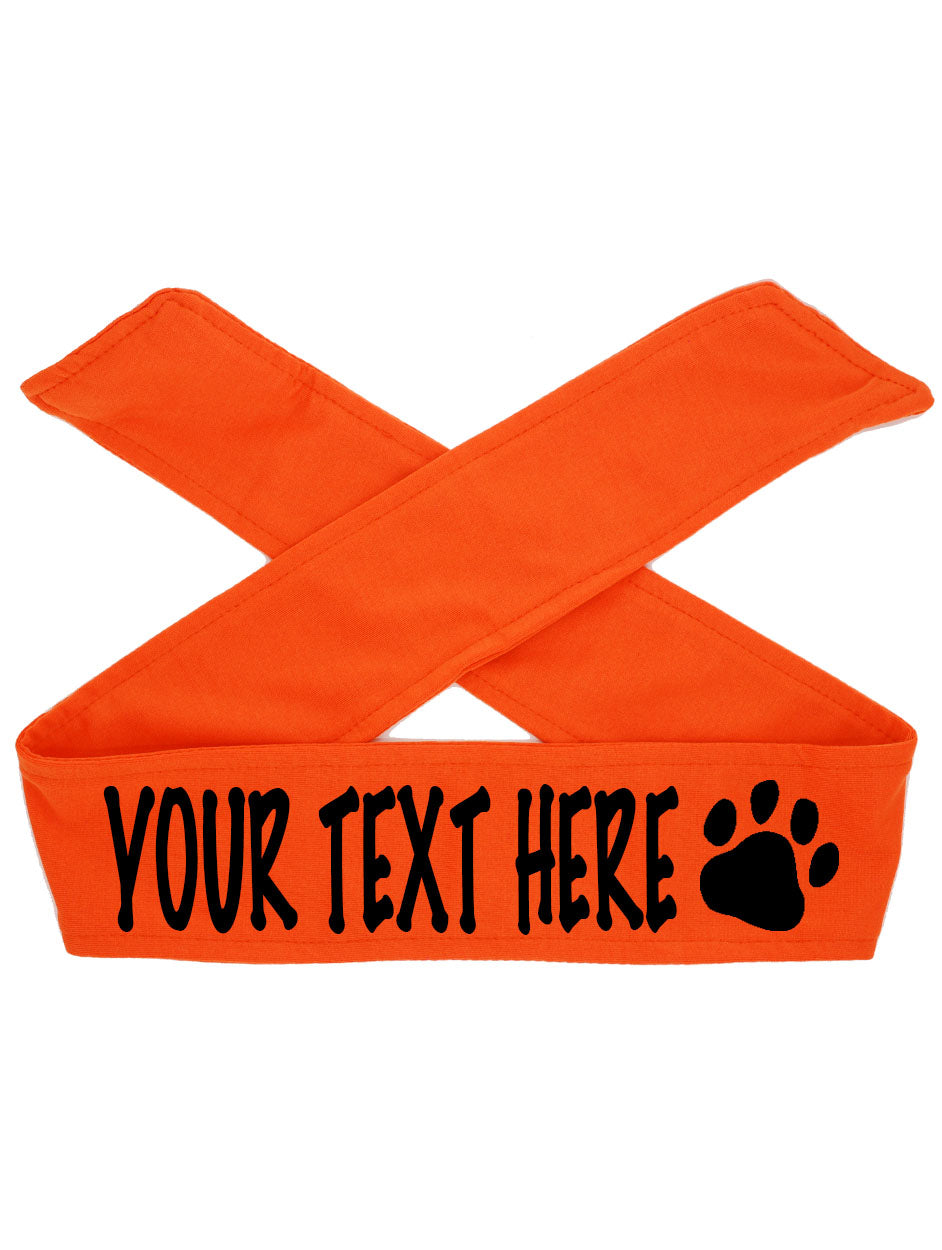 Custom Personalized PAW PRINT TIE Headband - Flat (Non Sparkle) Letters!
